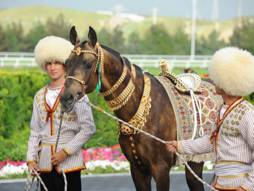 Arkadag şäherinde ahaltek...